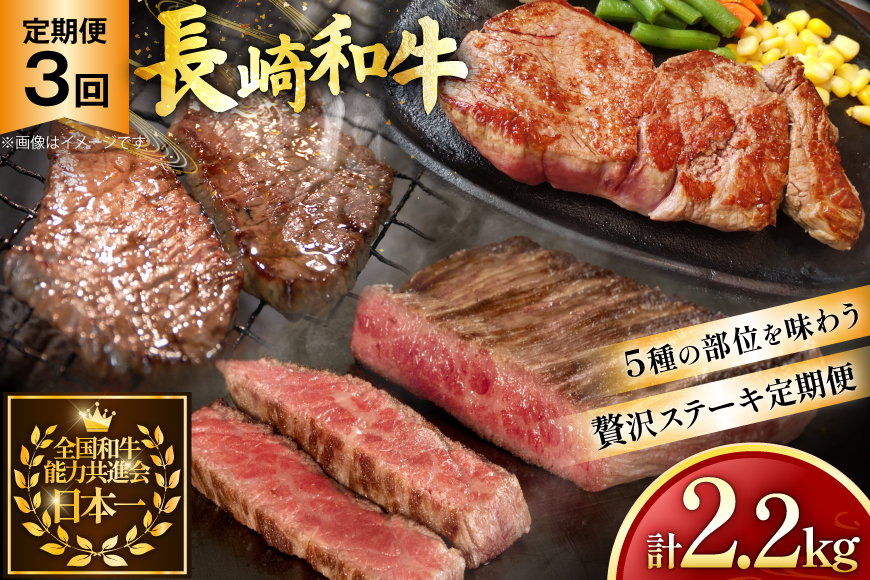 牛肉 和牛 定期便 長崎和牛 ステーキ 食べ比べ 5種 3回 総計2.2kg [黒牛 長崎県 東彼杵町 hs42bag750003] 赤身肉 赤身肉ステーキ 赤身ステーキ ヒレステーキ サーロインステーキ ランプ