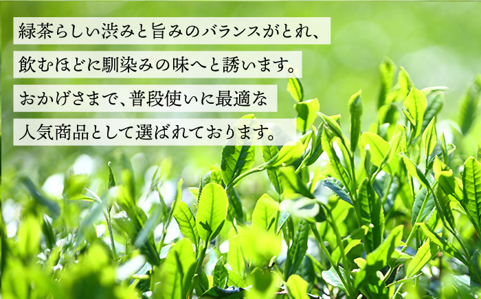 そのぎ茶 100g×3袋 茶 茶葉 お茶 おちゃ 緑茶 りょくちゃ 日本茶 東彼杵町/岡田商会 [BCS005]