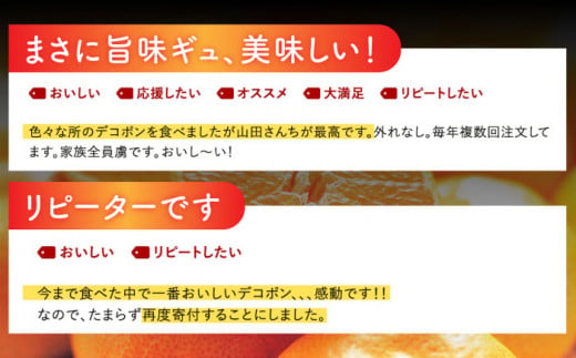 【ご好評にて再入荷いたしました！】山田さん家の濃厚！ハウス不知火 約3kg [BBM004]