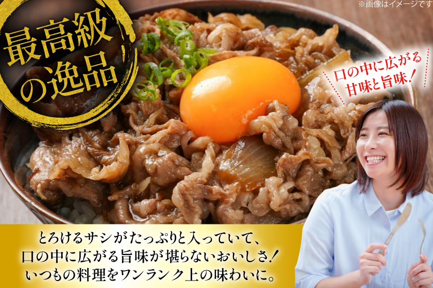 牛肉 切り落とし 定期便 長崎和牛 切り落し600g 2回 総計1200g [大川ストアー 長崎県 東彼杵町 hs42bag580011] 肉 牛肉 和牛 焼肉