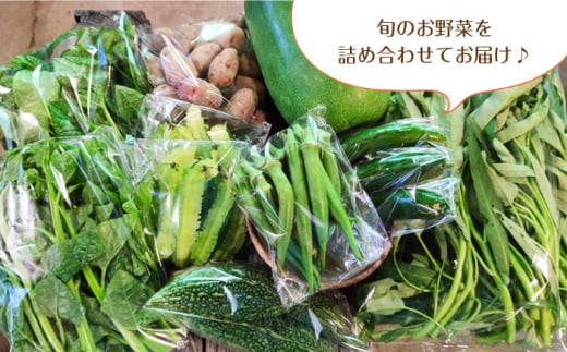 【旬の野菜を詰合せ】微生物が育てる 菌ちゃん野菜セット 野菜セット 野菜 やさい  [BCV001]