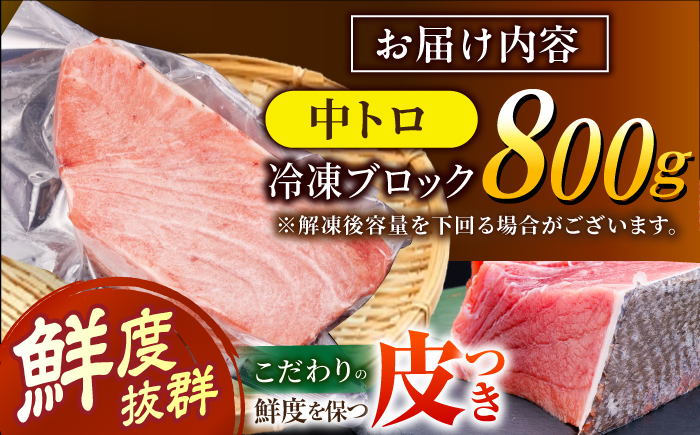 長崎県産 本マグロ「中トロ」(約800g) 中とろ マグロ まぐろ 鮪 マグロ刺身 ブロック トロ 刺身 さしみ 刺し身 冷凍 東彼杵町/大村湾漁業協同組合 [BAK037]