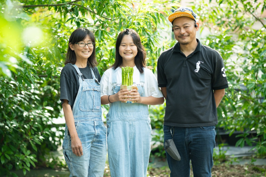 アスパラ アスパラガス 夏芽アスパラガス 1.5kg M L サイズ混合 [はゆっちFARM 長崎県 東彼杵町 hs42bag360005] アスパラ あすぱら 新鮮 夏