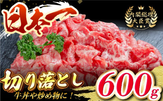 長崎和牛 切り落とし 600g 和牛 牛肉 赤身 すき焼き 霜降り 切り落とし すき焼き しゃぶしゃぶ  切り落とし 東彼杵町/有限会社大川ストアー [BAJ046]