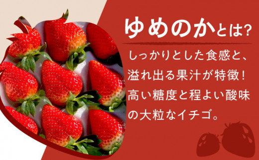 【2025年1月下旬より順次発送】朝摘み鮮度バツグン ゆめのか いちご 約１kgお届け♪ いちご イチゴ 苺 いちご 先行予約 長崎 東彼杵町/ファーミライズ株式会社 [BBL002]