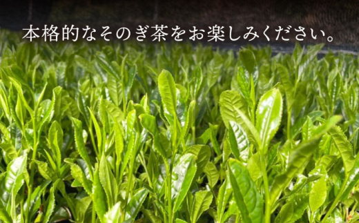 【急須いらずでお手軽に】そのぎ茶 《Leaf Tea Cup》 8個セット (蓋付き) 茶 お茶 緑茶 日本茶 茶葉 東彼杵町/中里茶農園 [BCH002]