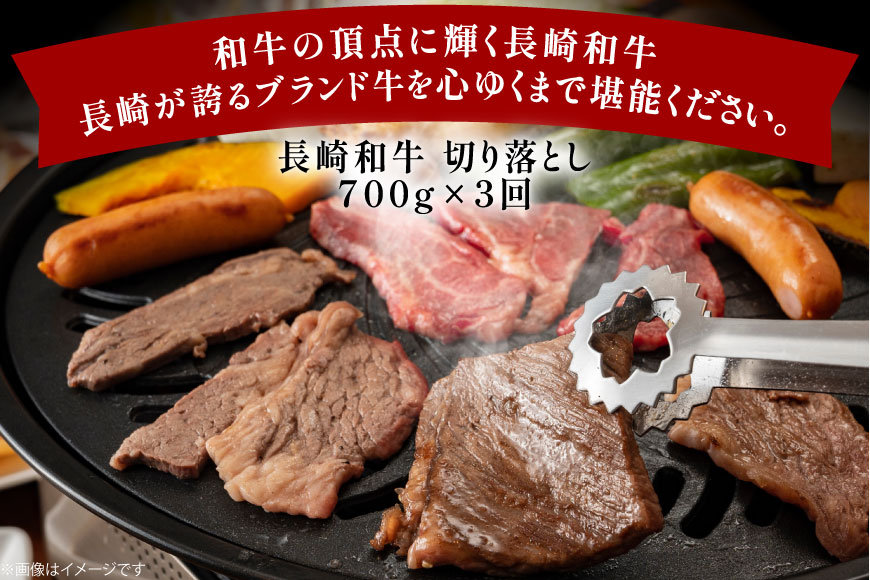 牛肉 和牛 定期便 長崎和牛 バラ もも 切り落とし 約700g 3回 計2.1kg [黒牛 長崎県 東彼杵町 hs42bag750088] 牛肉 小分け バラ モモ もも 切り落とし