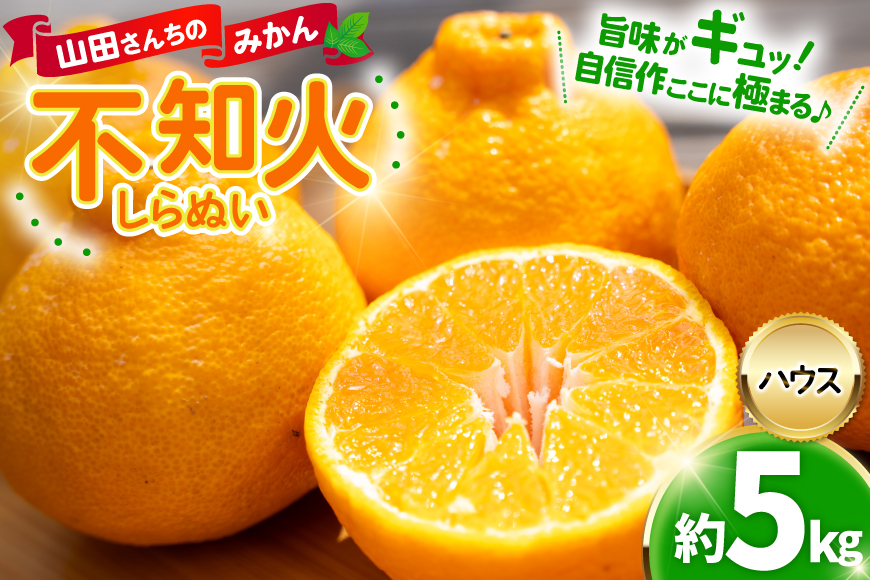 【期間限定発送】【先行予約100個限定】 みかん 山田さんちのハウス不知火(しらぬい) 約5kg [長崎県 東彼杵町 hs42bag330002] 果物 柑橘 国産 長崎産 東彼杵 数量限定