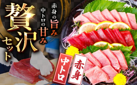 長崎県産 本マグロ「赤身・中トロ」盛り合わせ (約550g) まぐろ 鮪 中トロ マグロ刺身 刺身 柵 刺し身 セット 冷凍 東彼杵町/大村湾漁業協同組合 [BAK005]