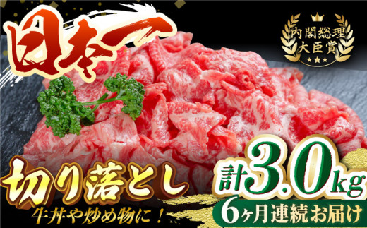 【全6回定期便】長崎和牛切り落し 計3.0kg（約500g×6回）牛肉 和牛 切り落とし すき焼き しゃぶしゃぶ 500ｇ 定期便 東彼杵町/有限会社大川ストアー [BAJ032]