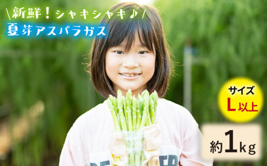 【生で食べれるほどの新鮮さ】夏芽アスパラガス1kg（Lサイズ以上) アスパラガス アスパラ 野菜 新鮮 夏野菜 東彼杵町/はゆっちFarm [BBW018]