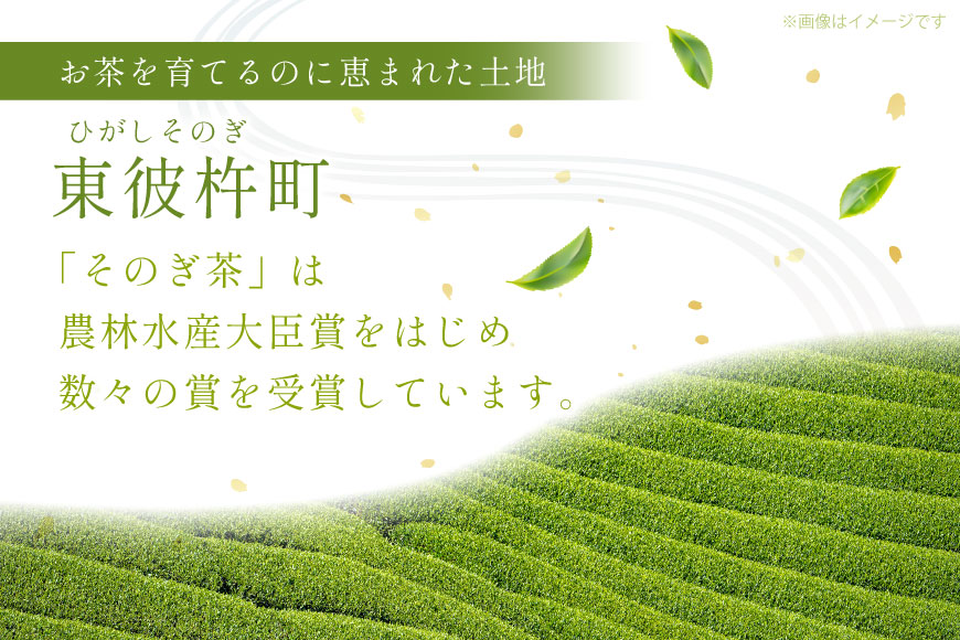 ほうじ茶 長崎 ティーバッグ ほうじ茶 ティーバッグ 4g 12パック 2袋 [茶友 長崎県 東彼杵町 hs42bag430004] ちゃ 茶 おちゃ お茶 ティーパック