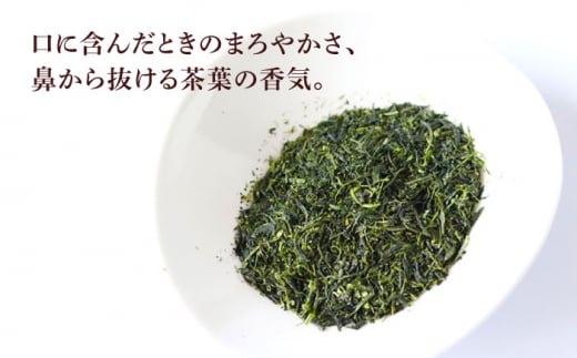 そのぎ茶 (極上) 100g×2袋入り 茶 ちゃ お茶 おちゃ 緑茶 りょくちゃ 日本茶 茶葉 東彼杵町/酒井製茶 [BBV030] 