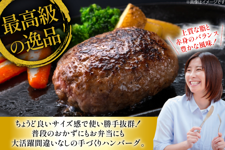 ハンバーグ 冷凍 長崎和牛 手作り ハンバーグ 80g 10個 計800g [大川ストアー 長崎県 東彼杵町 hs42bag580001] はんばーぐ ハンバーグ 湯銭