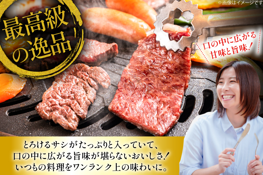 カルビ 和牛 肉 長崎和牛 霜降り カルビ 1.3kg [大川ストアー 長崎県 東彼杵町 hs42bag580087] 焼肉 霜降り 牛肉