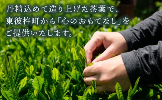 そのぎ茶 (特撰) 100g×3袋入り 茶 ちゃ お茶 おちゃ 緑茶 りょくちゃ 日本茶 茶葉 東彼杵町/西海園 [BAP006] 