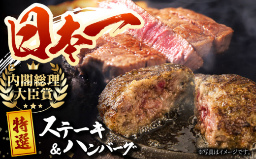 長崎和牛 特選ステーキ（120g×2枚）＆ハンバーグ（80g×4個）はんばーぐ 特製 簡単調理 赤身 ステーキ 霜降り ステーキ 東彼杵町/有限会社大川ストアー [BAJ114]