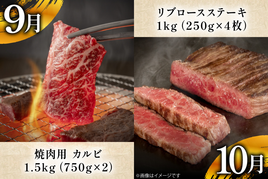 牛肉 和牛 牛一頭プレミアム定期便「長崎和牛をまるごと堪能」 12回 総計17.1kg [黒牛 長崎県 東彼杵町 hs42bag750073] しゃぶしゃぶ すき焼き スライス 肉 お肉 牛肉