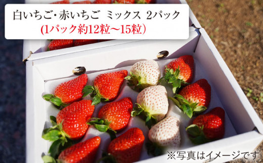 【紅白食べ比べ♪】【5セット限定！】東彼杵町産「ゆめのか」いちご 約1kg【ファーミライズ株式会社】 [BBL003]