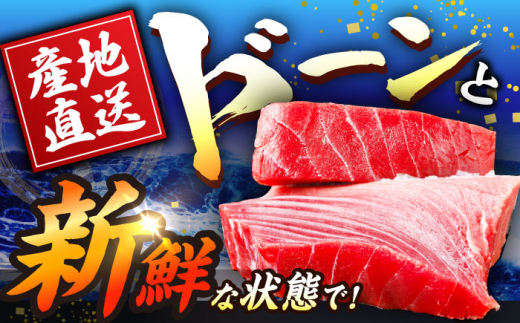 【全6回定期便(月1回)】長崎県産 本マグロ 中トロ皮付き 約700g 【大村湾漁業協同組合】 [BAK026]/中トロ 中とろ まぐろ 刺身