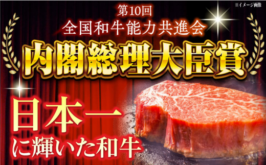 【4回定期便】長崎和牛 赤身定期便 約3~4人前 赤身ステーキ 赤身肉 赤み 牛肉 ヒレ ヒレステーキ 東彼杵町/焼肉音琴 [BCT036]