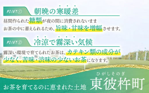 そのぎ茶「秀緑」と美軽茶 ギフトセット 茶 ちゃ お茶 おちゃ 緑茶 りょくちゃ 日本茶 茶葉 ティーバッグ 東彼杵町/西坂秀徳製茶[BBP001] 