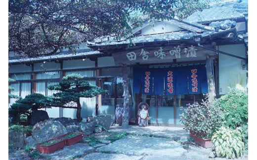 味噌 麦みそ 3kg 1袋 [大渡商店 長崎県 東彼杵町 hs42bag590004] 手作り 減塩 みそ ミソ 九州 調味料 国産