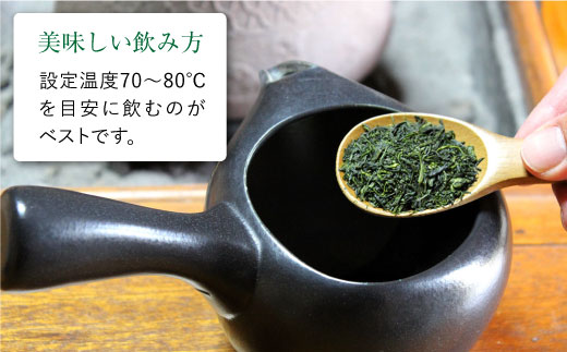 茶葉 ギフト 6種セット 飲み比べ 茶 お茶 緑茶 東彼杵町/酒井製茶 [BBV013]