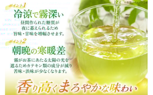 茶 お茶 緑茶 長崎 そのぎ茶 彼杵茶 玉緑茶 アルミボトル 290ml 24本 [彼杵の荘 長崎県 東彼杵町 hs42bag270001] ペットボトル 約 300ml 300