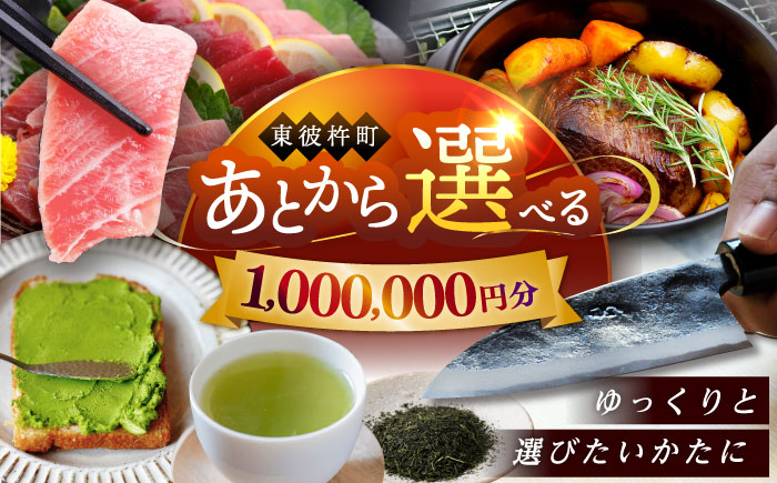 【あとから選べる】東彼杵町ふるさとギフト 100万円分/寄付 あとから寄附 あとからギフト あとからセレクト あとからチョイス あとから選べる 長崎県 駆け込み寄附 後から選べる 後から選べるギフト 後からセレクト 先に寄付 1000000 100万 [BZW010]