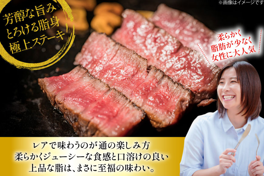 ヒレステーキ 和牛 長崎和牛 ヒレ ステーキ 120g 5枚 計600g [大川ストアー 長崎県 東彼杵町 hs42bag580000] ひれ ヒレ肉 ステーキ肉