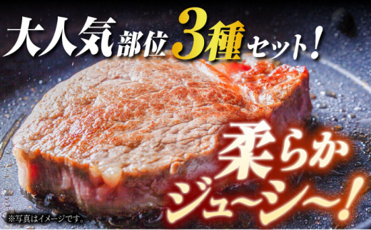 【3回定期便】(毎月違う部位が届く)　贅沢 長崎和牛 ステーキ食べ比べ / ヒレステーキ ヒレ ひれ フィレ ステーキ すてーき 赤身 ヒレ肉 ヒレ肉ステーキ ランプ サーロイン さーろいん 人気 希少部位 牛肉 長崎和牛 定期便 /東彼杵町/有限会社大川ストアー [BAJ104] 3枚 65000 6万