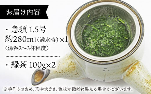 急須とそのぎ茶セット (急須×1・緑茶 100g×2) 茶 お茶 緑茶 日本茶 茶葉 東彼杵町/常明窯 [BCX003]