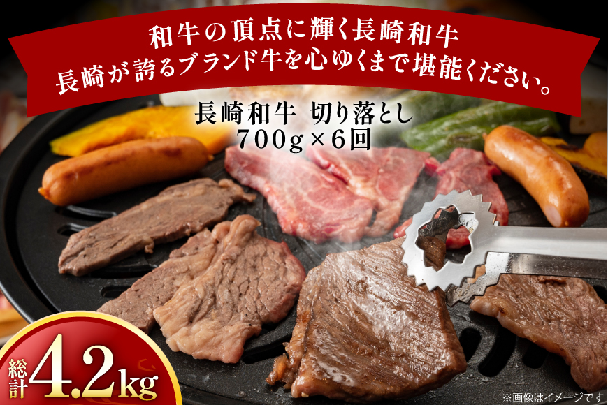牛肉 和牛 定期便 長崎和牛 切り落とし 700g 6回 総計4.2kg [黒牛 長崎県 東彼杵町 hs42bag750080] 牛肉 バラ モモ もも 切り落とし牛肉 バラ モモ もも 切り落とし