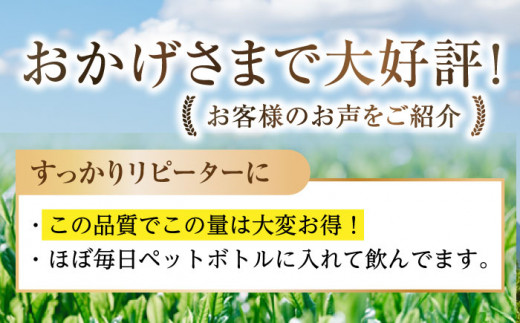 【TVで紹介！】最上級茶葉使用 そのぎ抹茶 計1kg (100g×10袋) 茶 お茶 抹茶 緑茶 日本茶 東彼杵町/FORTHEES [BBY003]