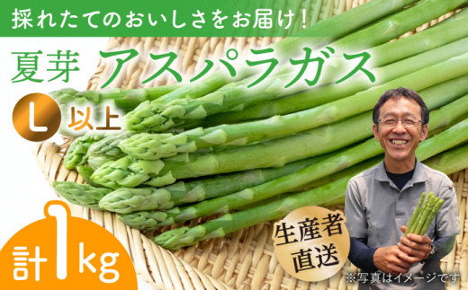 【農家直送】夏芽アスパラガス 1kg（L以上）アスパラガス アスパラ 野菜 やさい 新鮮 夏野菜 あすぱらがす あすぱら / 東彼杵町 / 前平農園 [BCG002]