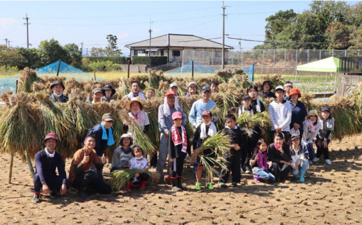 東彼杵町産のお米 5kg（玄米・令和5年度ヒノヒカリ）【株式会社ウラノ・URABIO】/お米 米 玄米 ふっくら ツヤツヤ 甘い 国産 [BDB004]