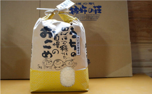 1週間以内に発送【新米】白米15kg お米 米 白米 ふっくら ツヤツヤ 甘い 国産 5kg  長崎県産 人気 ごはん 東彼杵町/彼杵の荘 [BAU054] 新米 しんまい 令和6年度産 すぐ発送 すぐ届く すぐ