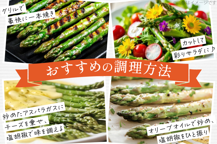 アスパラ アスパラガス 夏芽アスパラガス 1.5kg L サイズ以上 [はゆっちFARM 長崎県 東彼杵町 hs42bag360006] アスパラ あすぱら 新鮮 夏