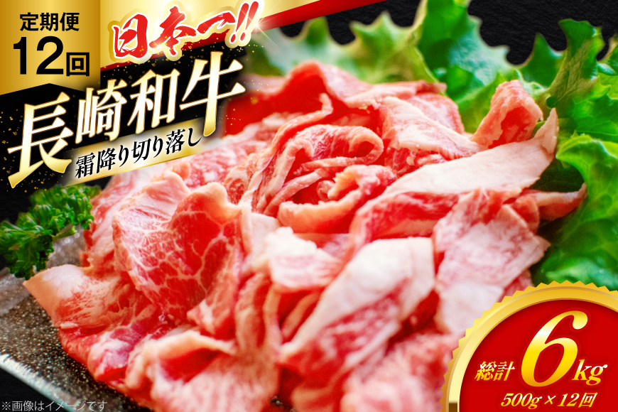 和牛 切り落とし 霜降り肉 定期便 長崎和牛 切り落し 500g 12回 総計6kg [大川ストアー 長崎県 東彼杵町 hs42bag580074] 赤身 すき焼き 肉 しゃぶしゃぶ 牛肉