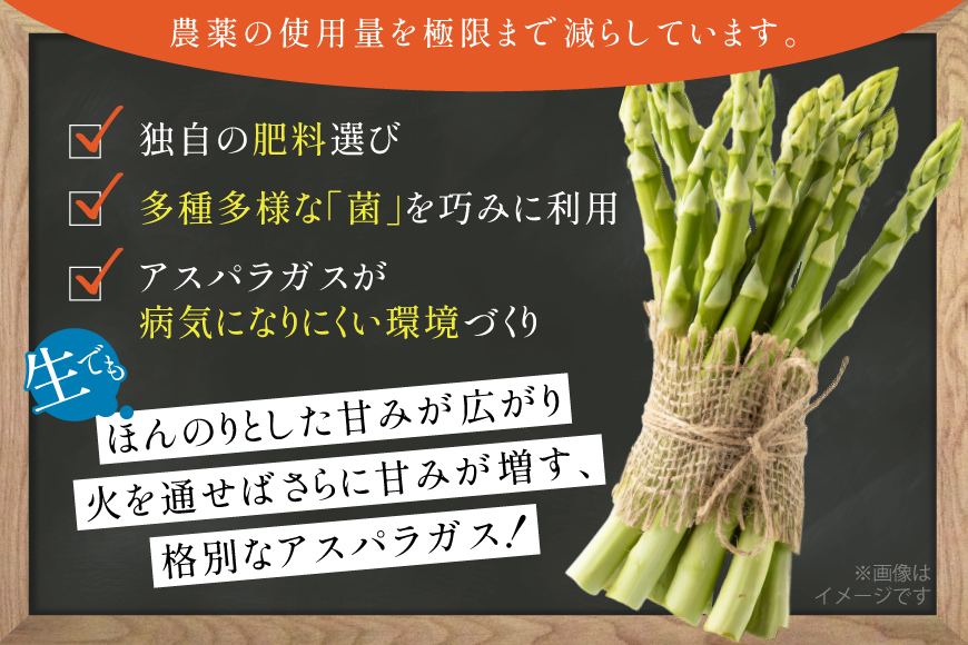 アスパラ アスパラガス 春芽アスパラガス 1kg M L サイズ混合 [はゆっちFARM 長崎県 東彼杵町 hs42bag360012] アスパラ あすぱら 新鮮 春