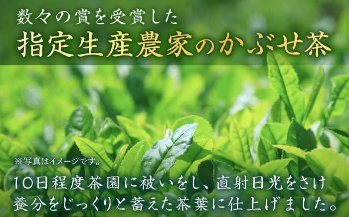 【そのぎ茶】長崎そのぎ茶バラエティーセット 5種10袋 / 茶 ちゃ お茶 おちゃ 緑茶 りょくちゃ 日本茶 茶葉 ティーバッグ ティーパック 水出し　/ 東彼杵町 / 池田茶園 [BAL023]