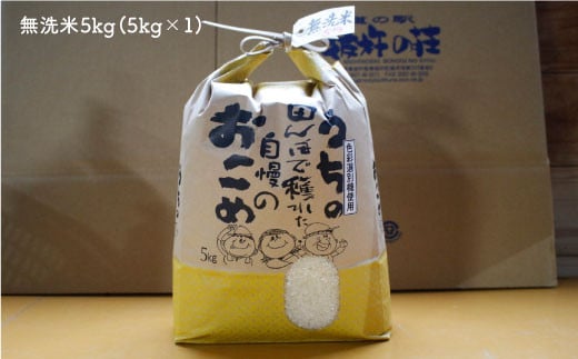 1週間以内に発送【新米】無洗米5kg お米 米 ふっくら ツヤツヤ 甘い 国産 5kg 無洗米  長崎県産 人気 ごはん 東彼杵町/彼杵の荘 [BAU056] 新米 しん 令和6年度産 すぐ発送 すぐ届く すぐ