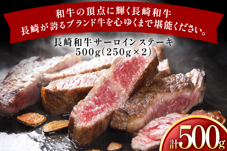 牛肉 長崎和牛 サーロイン ステーキ 250g 2枚 500g [黒牛 長崎県 東彼杵町 hs42bag750029] 霜降り 赤身肉 ステーキ サーロイン
