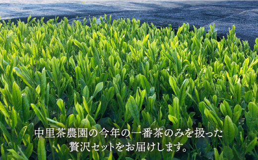 そのぎ茶 贅沢飲み比べセット (萌90g/啓90g/ティーバッグ3g×12個) 茶 ちゃ お茶 おちゃ 緑茶 りょくちゃ 日本茶 茶葉 東彼杵町/中里茶農園 [BCH001] 