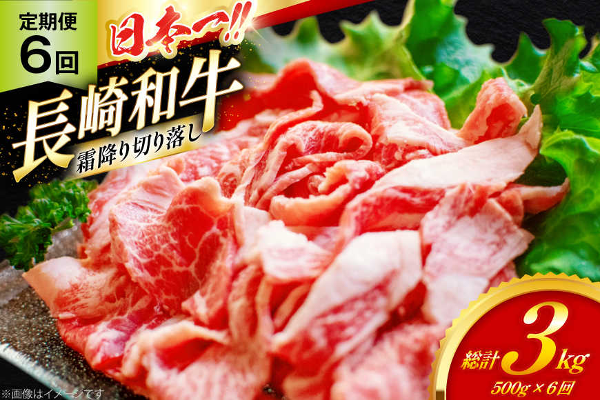 和牛 切り落とし 霜降り肉 定期便 長崎和牛 切り落し 500g 6回 総計3kg [大川ストアー 長崎県 東彼杵町 hs42bag580075] 赤身 すき焼き 肉 しゃぶしゃぶ 牛肉