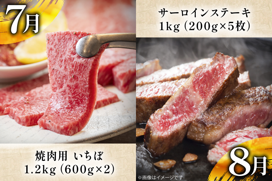 牛肉 和牛 牛一頭プレミアム定期便「長崎和牛をまるごと堪能」 12回 総計17.1kg [黒牛 長崎県 東彼杵町 hs42bag750073] しゃぶしゃぶ すき焼き スライス 肉 お肉 牛肉