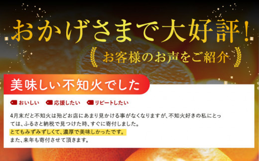 【ご好評にて再入荷いたしました！】山田さん家の濃厚！ハウス不知火（デコポンと同品種） 約5kg [BBM002]