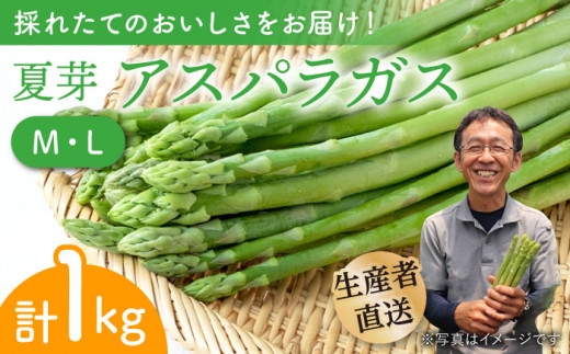 【農家直送】夏芽アスパラガス 1kg（M・L混合） アスパラガス アスパラ 野菜 やさい 新鮮 夏野菜 あすぱらがす あすぱら / 東彼杵町 / 前平農園 [BCG001]