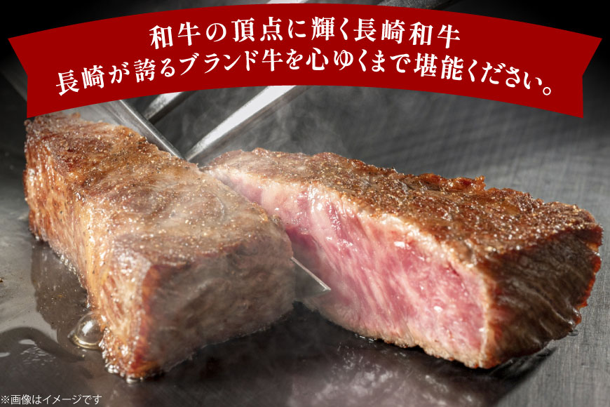 牛肉 和牛 定期便 長崎和牛 ヒレステーキ 約150g 3枚 10回 総計4.5kg [黒牛 長崎県 東彼杵町 hs42bag750092] ヒレ肉 ヒレ ステーキ 赤身 希少部位